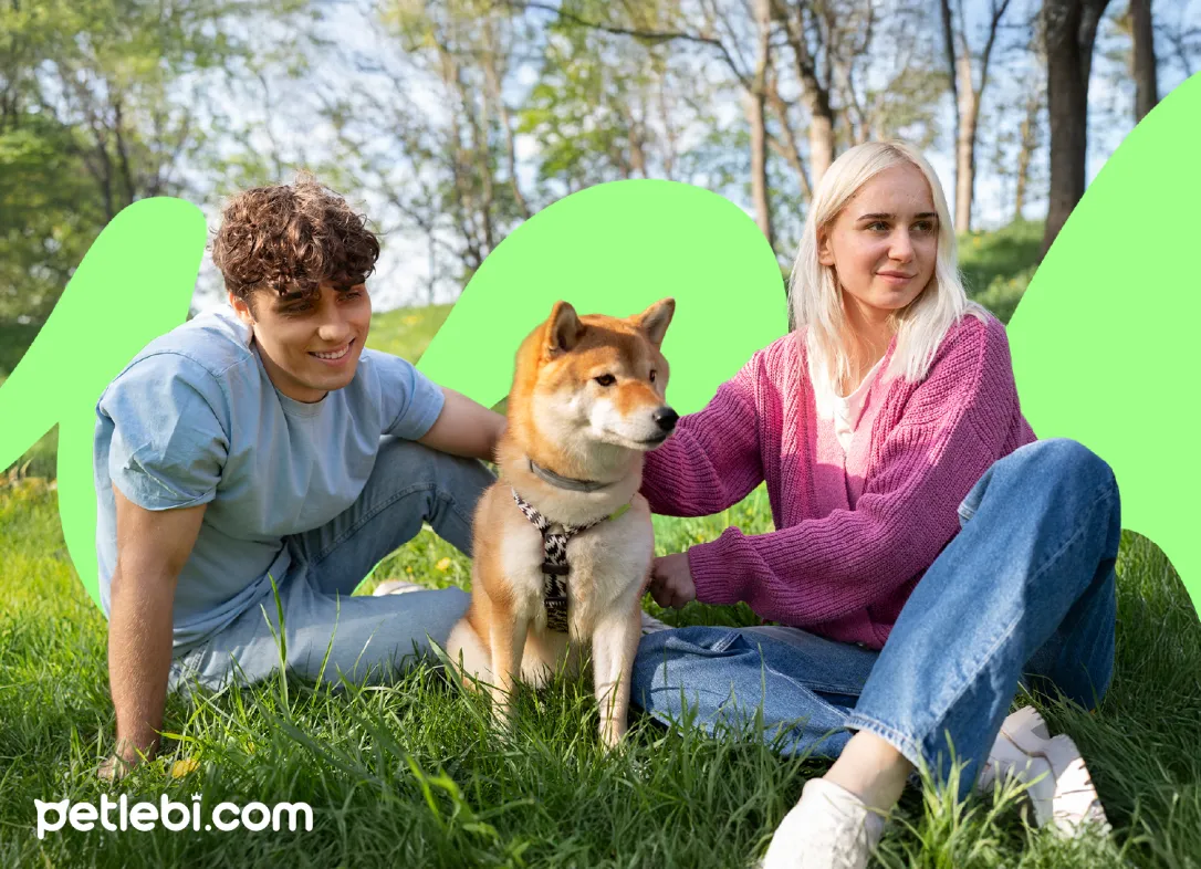 Petlebi’de Toplam 200 TL Nakit İade Kazan!